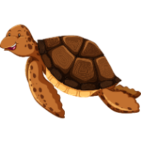 Your Rank is Turtle! Spacebar counter result in {time} seconds at {speed} hits per second.